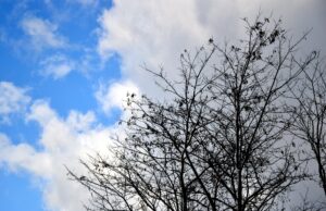 मॉनसून से विंटर: जब मौसम ले करवट, ऐसे रखें बदलते मौसम में सेहत का ध्यान! बदलते मौसम में सेहत का ध्यान