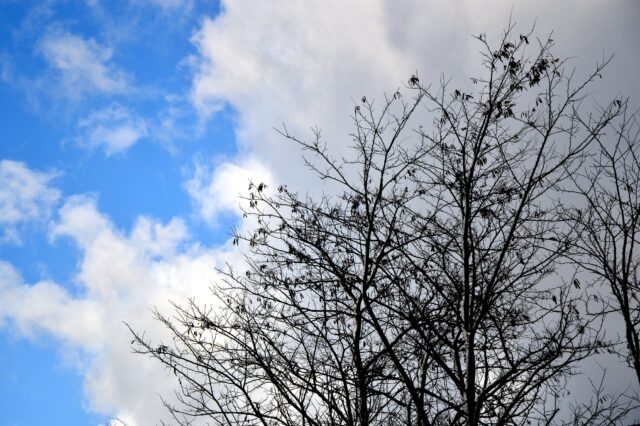 बदलते मौसम में सेहत का ध्यान